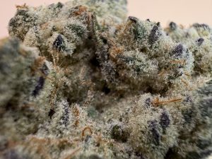 Zack's Cake - Image 3