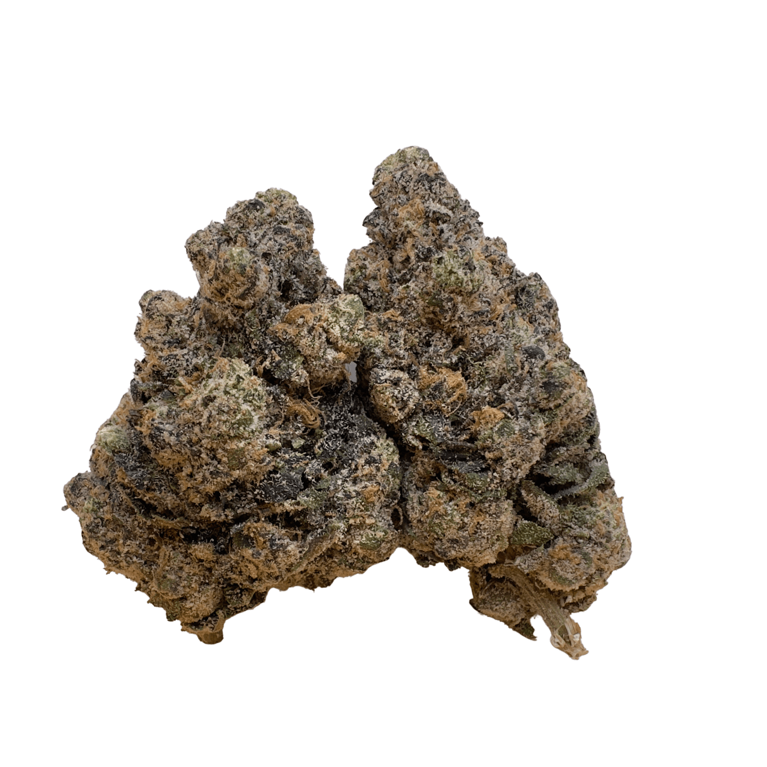 Emergen C High Maintenance NJ