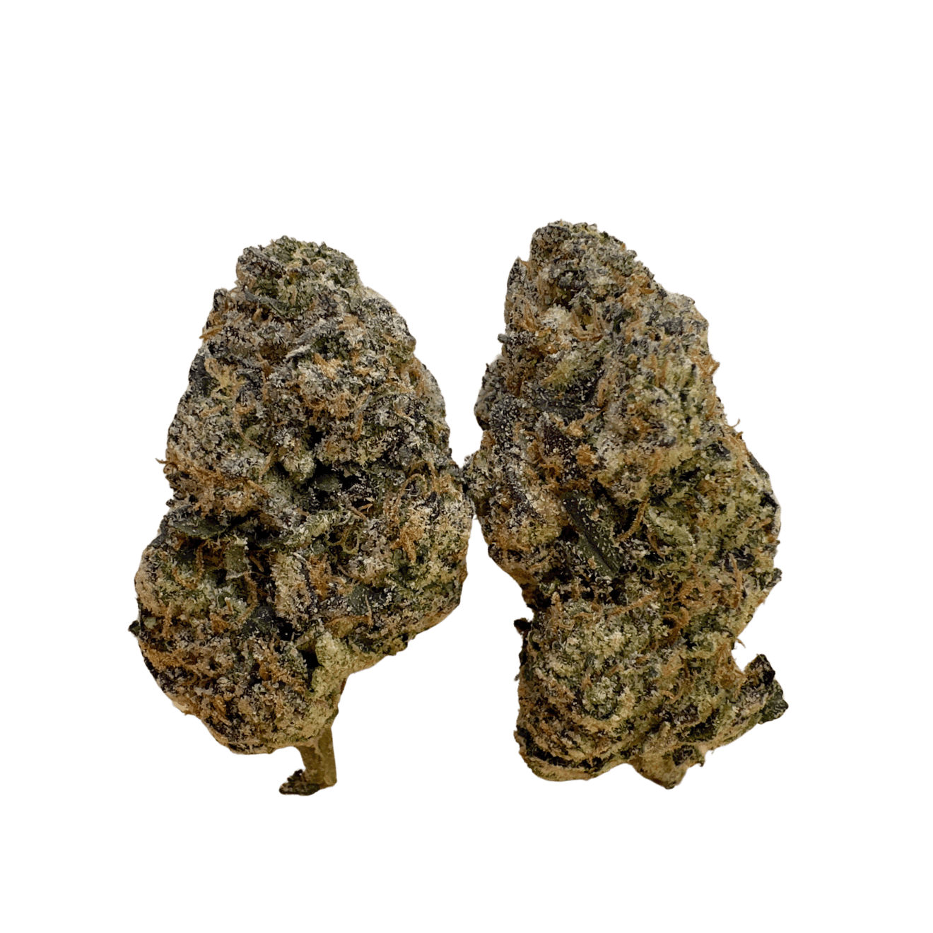 Ya Ya 47 High Maintenance NJ