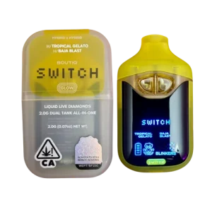 Boutiq Switch V4 Pods (2g)