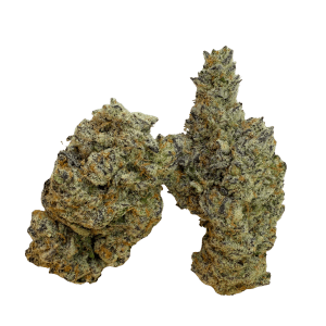 Critical Haze